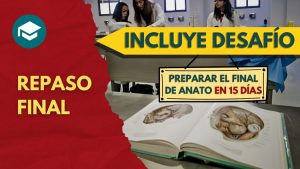 Repaso para Final de Anatomía