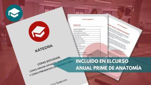 Método de Estudio (Guía + Masterclass)