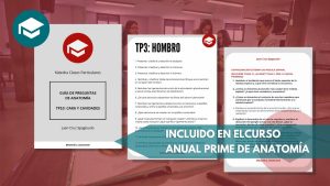 Guias de Estudio de Anatomía