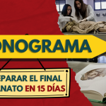 Cronograma 15 días para el Final de Anatomía