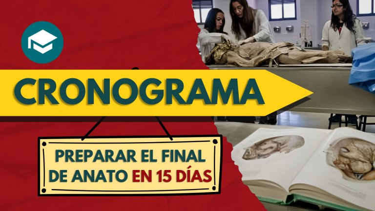 Cronograma 15 días para el Final de Anatomía - Imagen 2