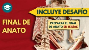 Clases Completas para Final de Anatomía