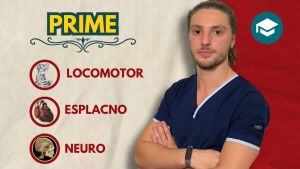 Curso Anual Anatomía PRIME 2026
