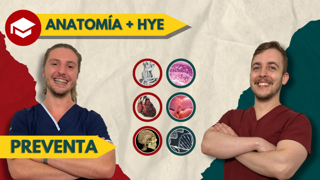 preventa anuall 2 (1)