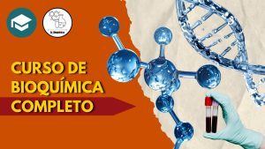 Curso de Bioquímica 2026