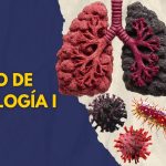 Curso de Patología 2026