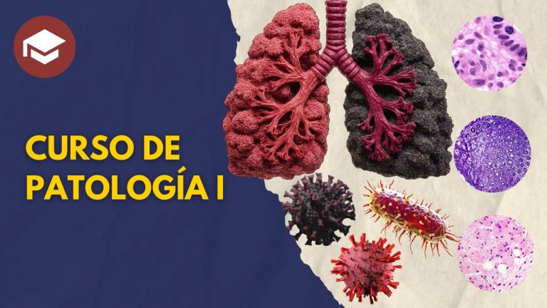 Curso de Patología 2026 - Imagen 2