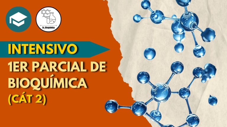 Intensivo 1er parcial de bioquímica (CÁT. 2) - 2026 - Imagen 2