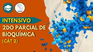 Intensivo 2do parcial de bioquímica (CÁT. 2) – 2026