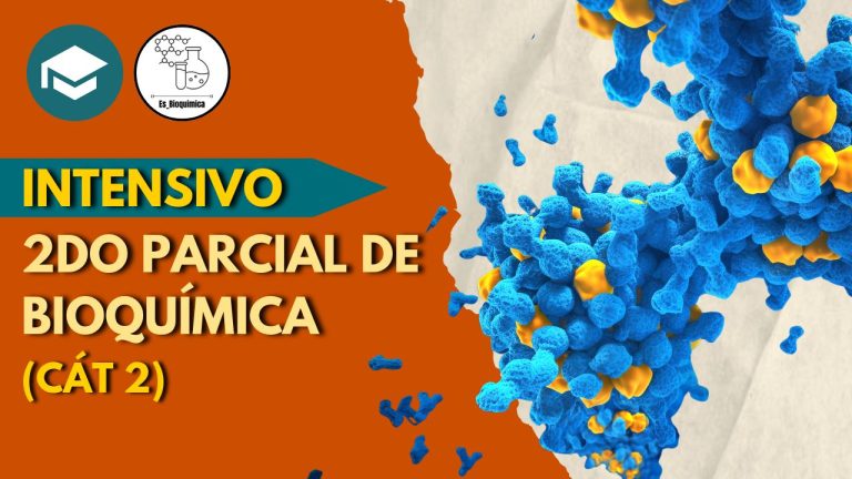Intensivo 2do parcial de bioquímica (CÁT. 2) – 2026 - Imagen 2
