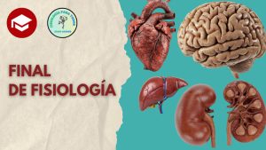Curso Final de Fisiología