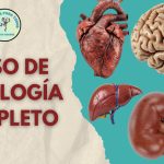 Curso Anual de Fisiología 2026