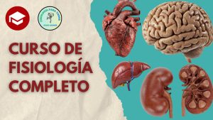 Curso Anual de Fisiología 2026