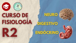 Curso de Fisiología R2 - 2026