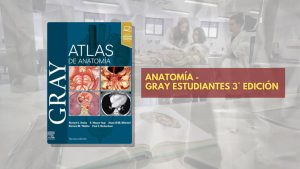 📗 Atlas Gray - 3° edición