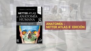 📗 Atlas Netter Anatomía - 8° edición