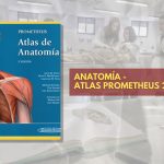 📗 Atlas Prometheus Anatomía - 2° edición