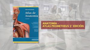 📗 Atlas Prometheus Anatomía - 2° edición