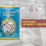 📗 Latarjet Anatomía TOMO 2 - 5° edición