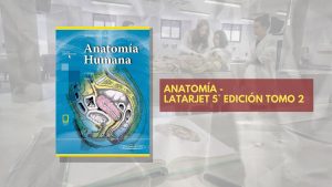 📗 Latarjet Anatomía TOMO 2 - 5° edición