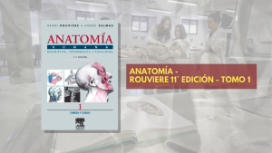 📗 Rouviere Anatomía TOMO 1 - 11° edición