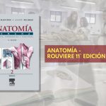 📗 Rouviere Anatomía TOMO 2 - 11° edición