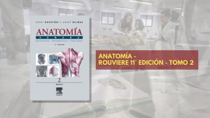 📗 Rouviere Anatomía TOMO 2 - 11° edición