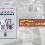 📗 Rouviere Anatomía TOMO 3 - 11° edición