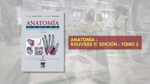 📗 Rouviere Anatomía TOMO 3 - 11° edición