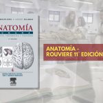 📗 Rouviere Anatomía TOMO 4 - 11° edición