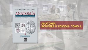 📗 Rouviere Anatomía TOMO 4 - 11° edición