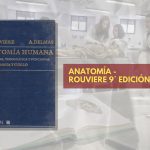 📗 Rouviere Anatomía TOMO 1 - 9° edición