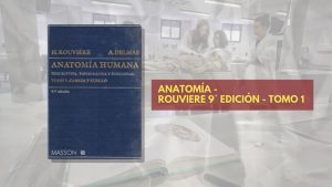 📗 Rouviere Anatomía TOMO 1 - 9° edición