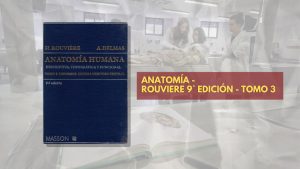 📗 Rouviere Anatomía TOMO 3 - 9° edición