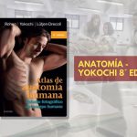 📗 Yokochi Anatomía - 8° edición