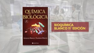 📗 Bioquimica Blanco - 11° edición