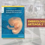 📗 ⁠Embriología ⁠Arteaga - 3° edición