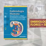 📗 ⁠Embriología Flores + Síntesis