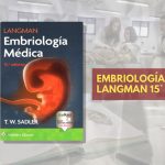 📗 ⁠Embriología Langman - 15° edición