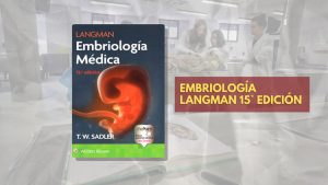 📗 ⁠Embriología Langman - 15° edición