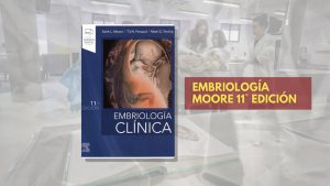 📗 ⁠Embriología ⁠Moore - 11° edición