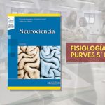 📗 ⁠Fisiología Purves - 5° edición