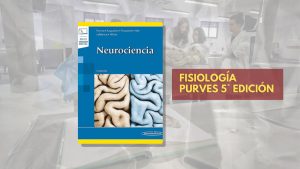 📗 ⁠Fisiología Purves - 5° edición