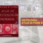 📗 Histología Atlas Di Fiore - 8° edición