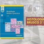 📗 Histología Brusco - 2° edición