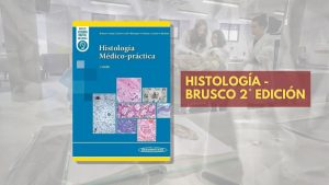 📗 Histología Brusco - 2° edición