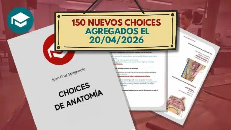 Choices de Anatomía - Imagen 2