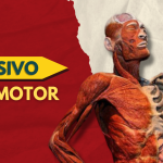 Intensivo de Locomotor - 2026