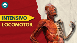 Intensivo de Locomotor - 2026