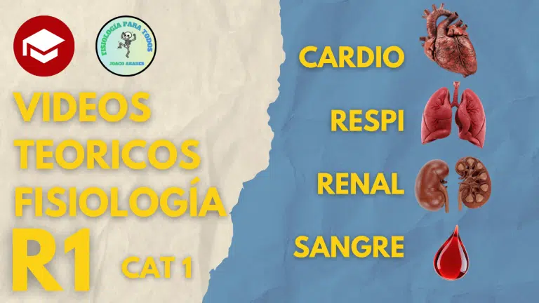 Videos teoricos - Fisiología - Imagen 2